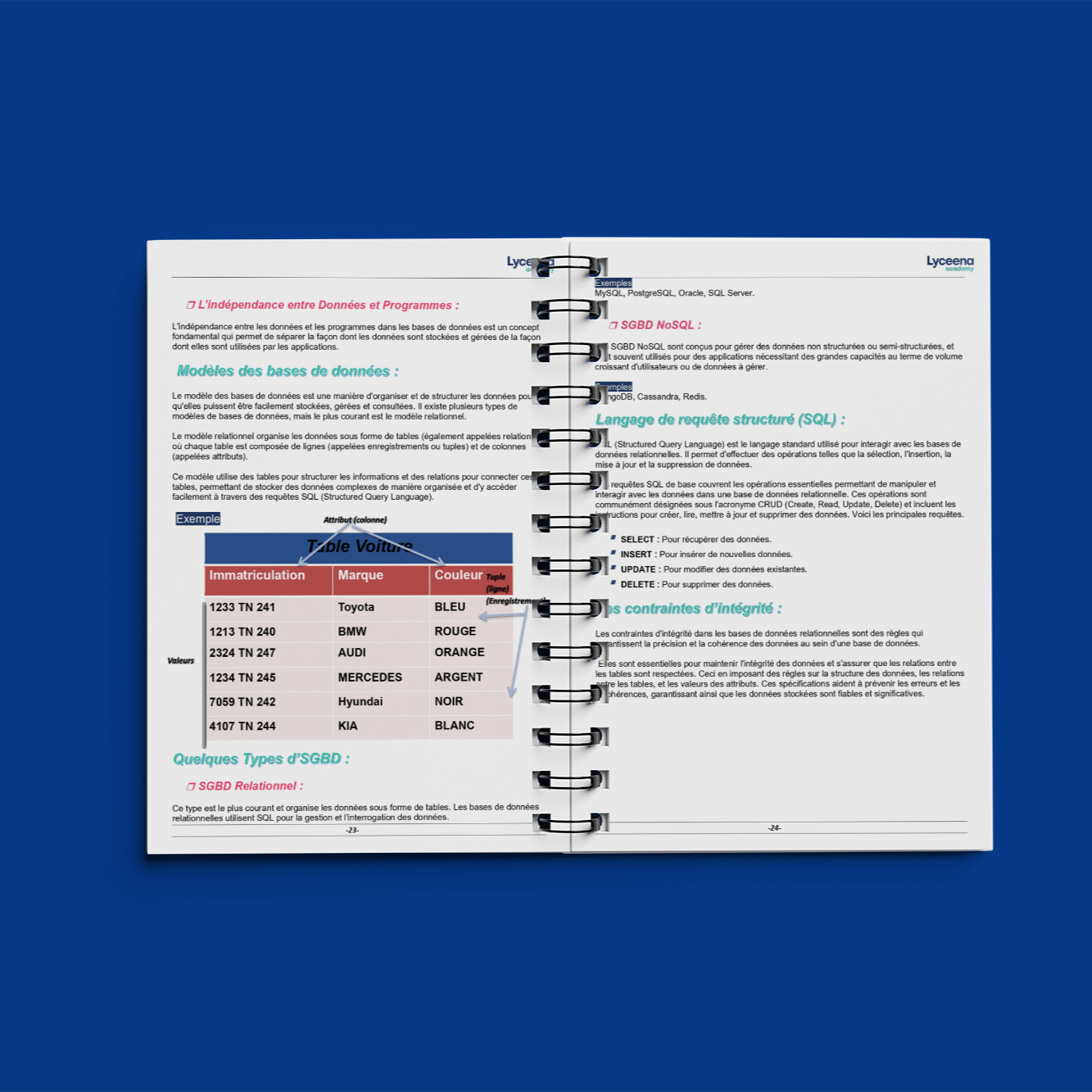 « STI – Bac Informatique » de Lyceena Academy
